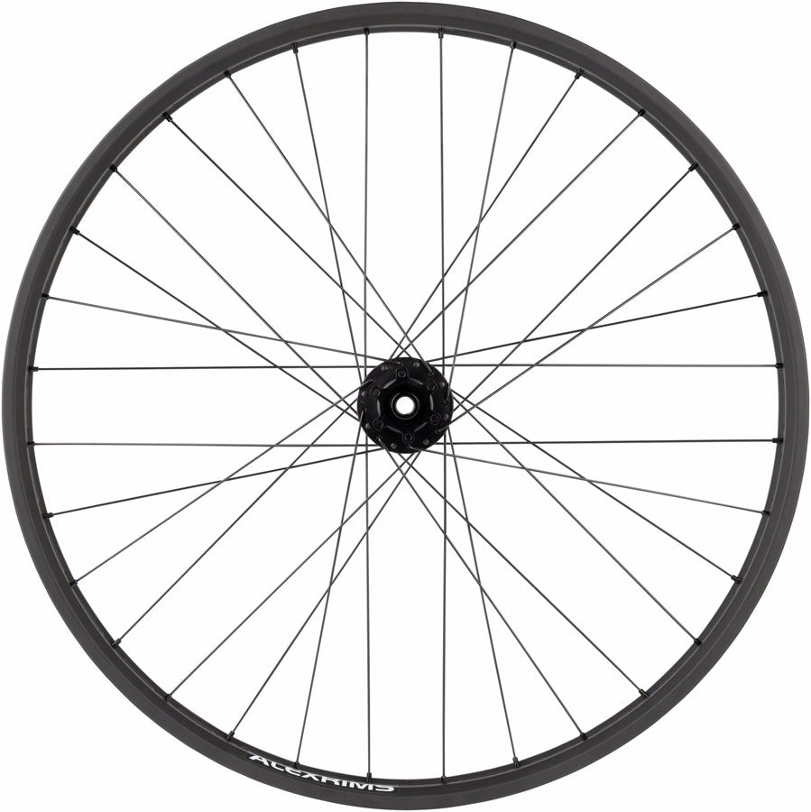 Bear Pawls / Blizzerk Rear Wheel - 26" Fat 12 x 197mm 6-Bolt HG 11 BLK