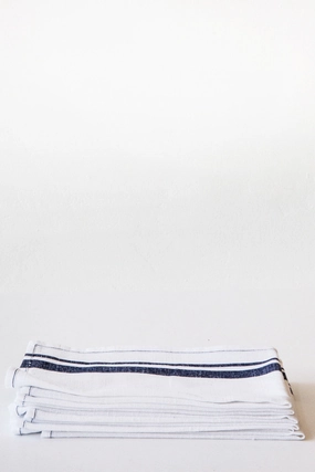 theresa white/blue bold stripe napkins